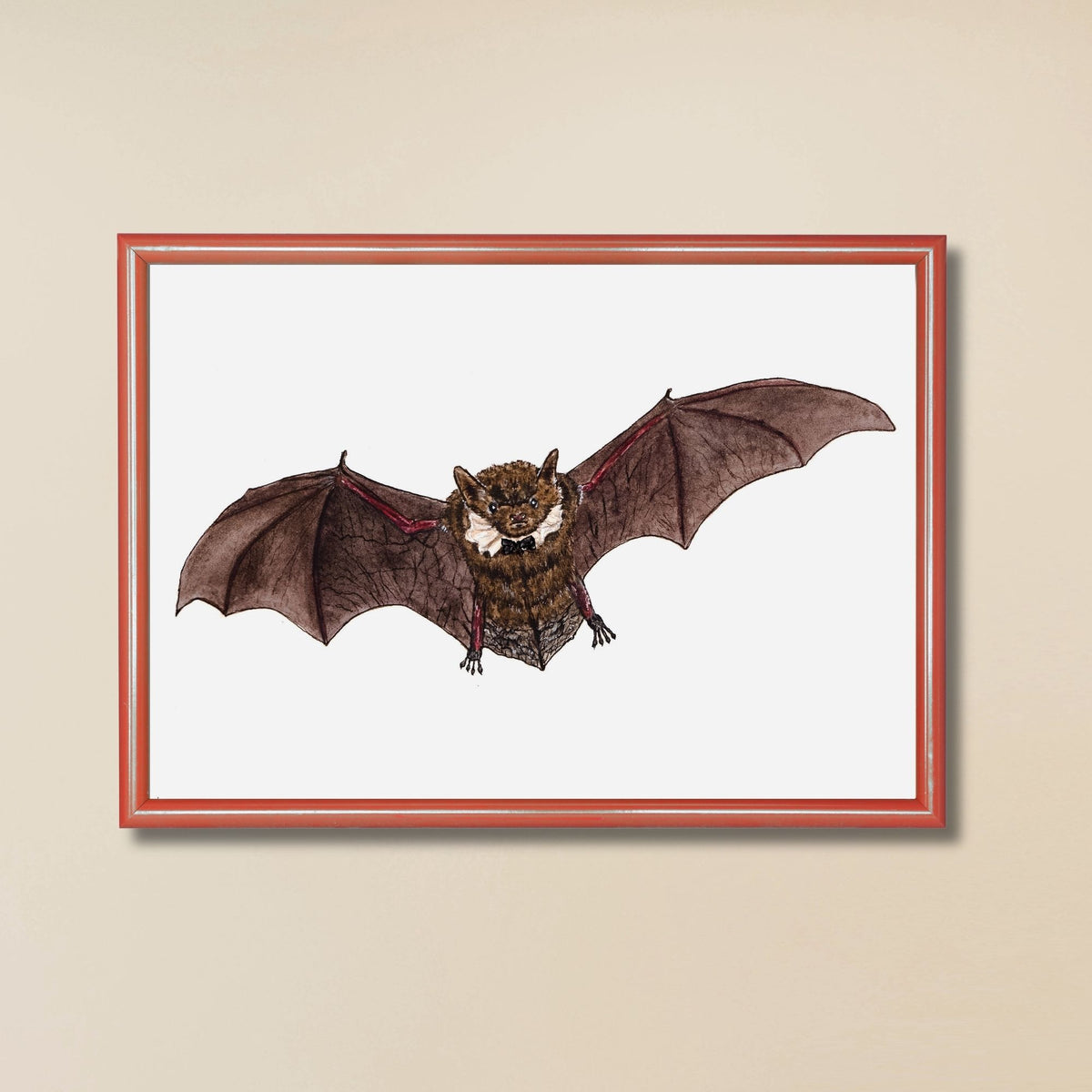 Little Brown Myotis Bat Art Print