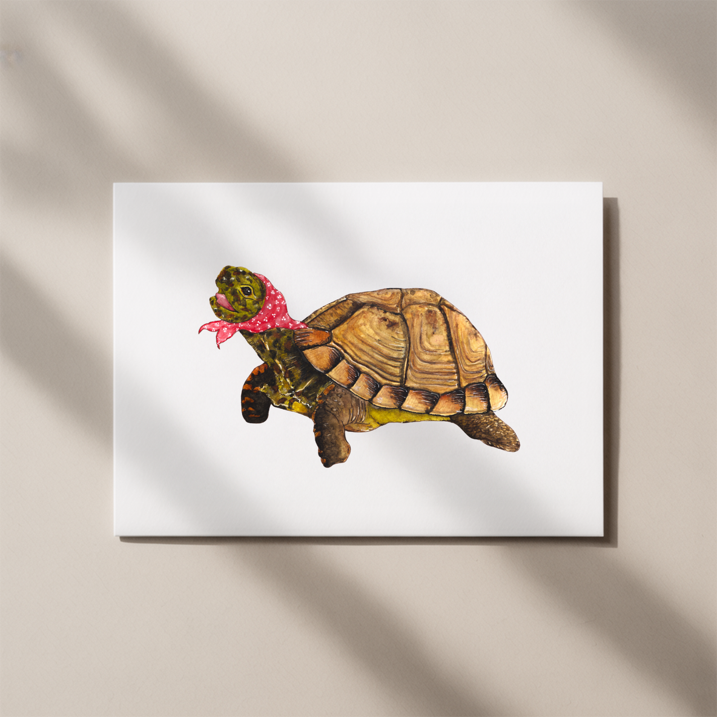 Miss Turtle Card
