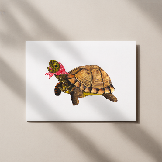 Miss Turtle Card