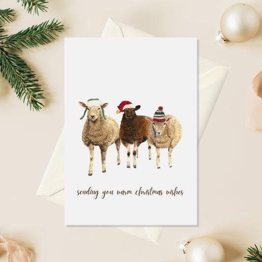 Sheep Christmas Card
