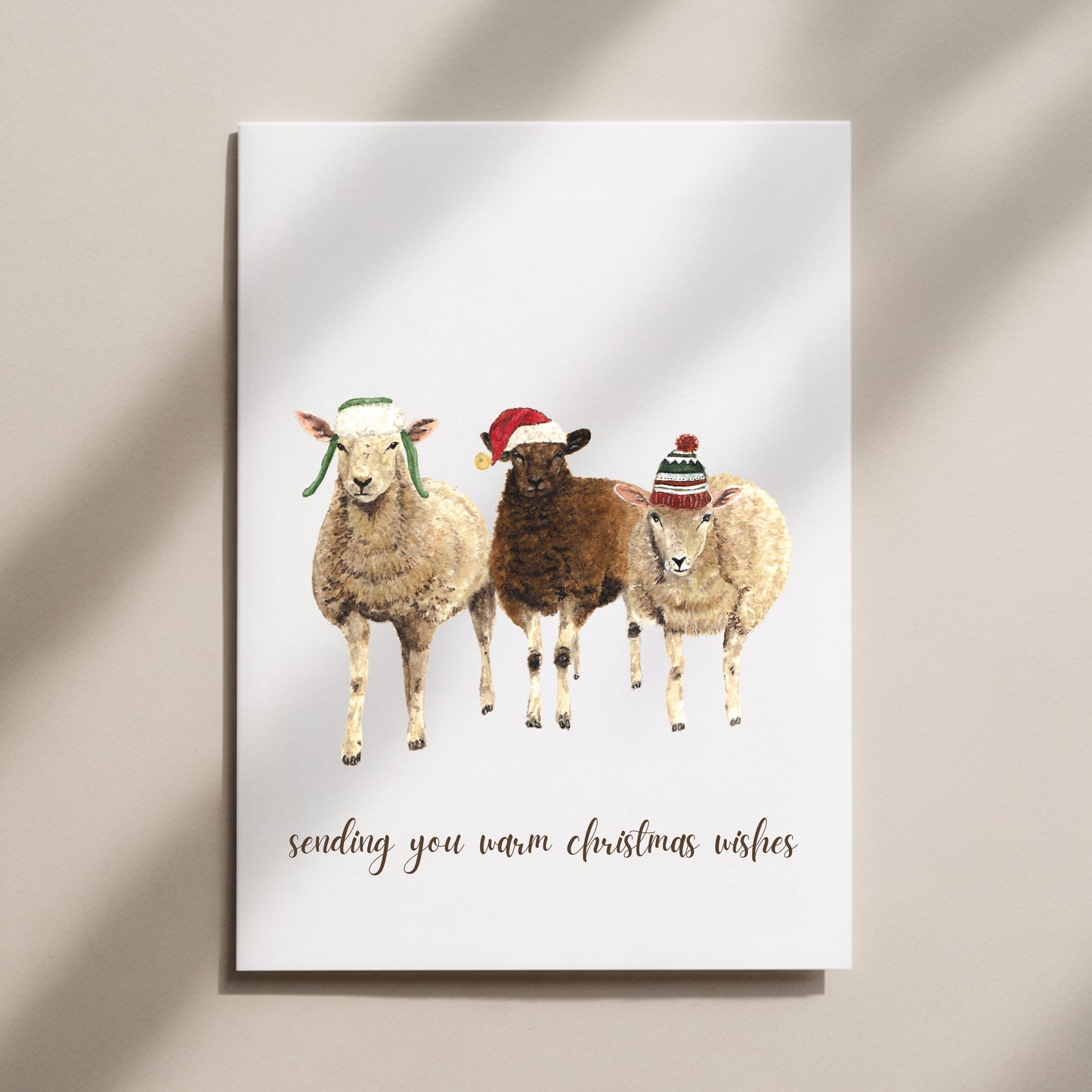 Sheep Christmas Card