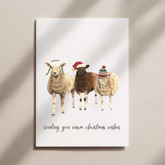 Sheep Christmas Card