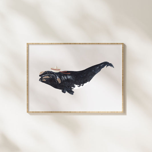 Right Whale Art Print