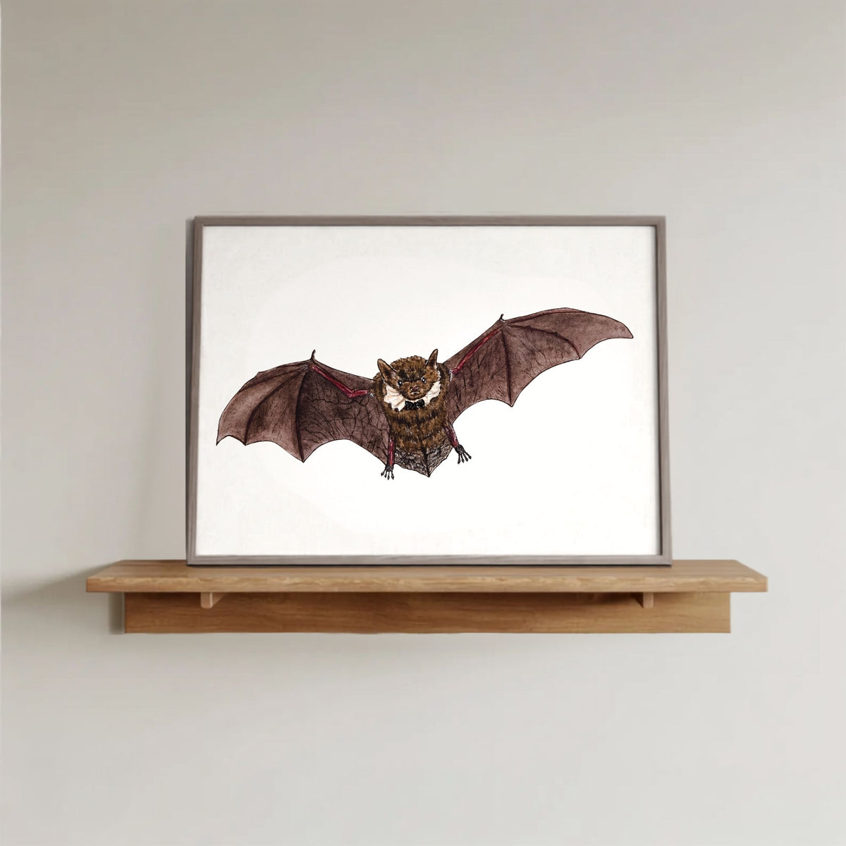 Little Brown Myotis Bat Art Print