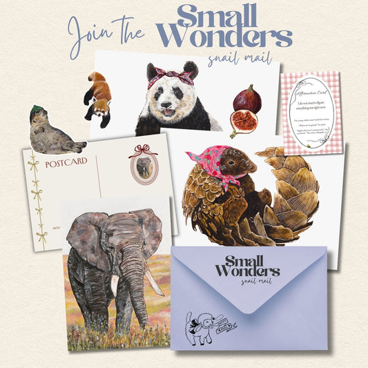 Small Wonders Snail Mail